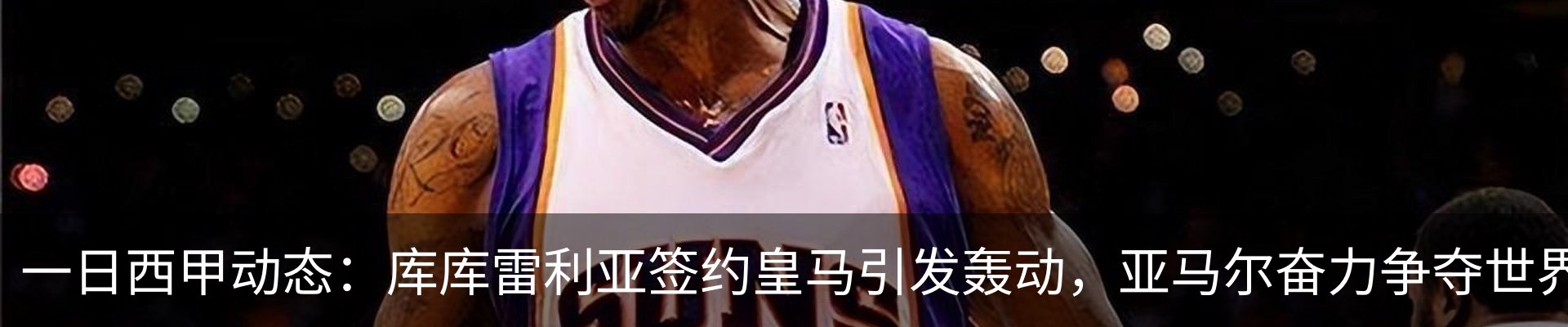 新闻动态