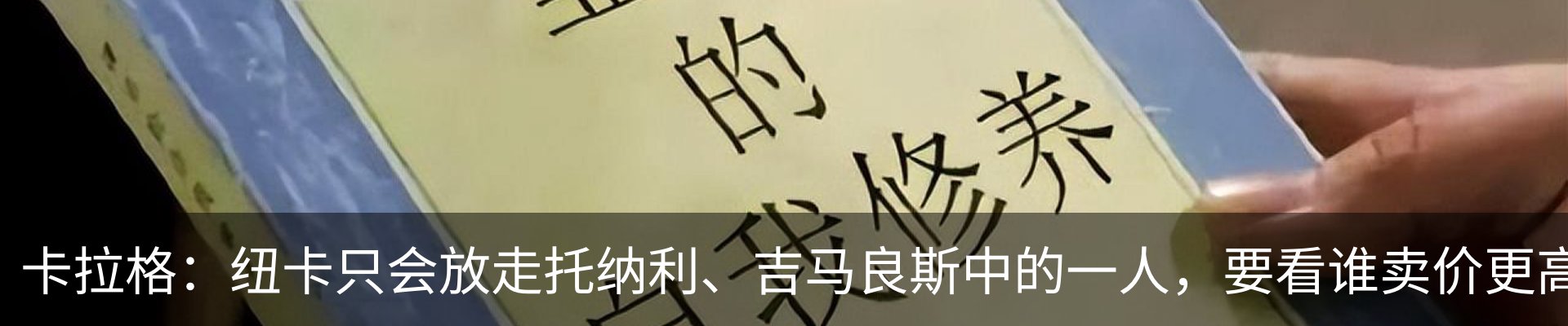 新闻动态