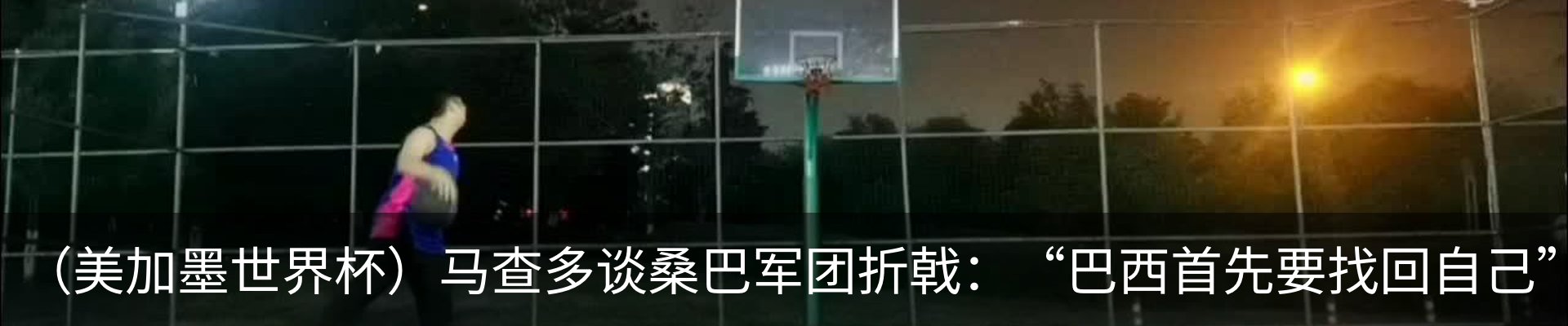 新闻动态